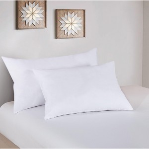 Down Home | Two Pack SpringLoft Pillow King - 1 of 3