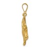 Black Bow Jewelry 14k Yellow Gold Polished Tiger Pendant - 2 of 4