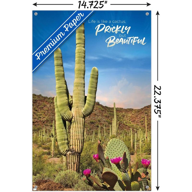 Trends International Cactus - Beautiful Unframed Wall Poster Prints, 3 of 7