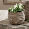 Split P Short Dune Vase - 3 of 3