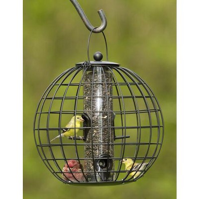 Squirrel Resistant Globe Cage Mixed Seed Bird Feeder Gardener S