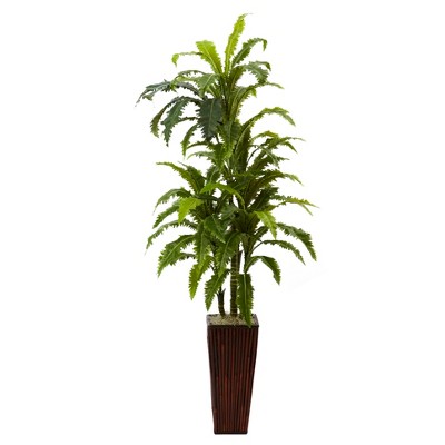 55'' Green Marginata Plant with Tall Bamboo Planter