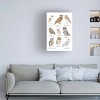 Trademark Fine Art - Hanna Melin Owls in Glasses Canvas Art - 2 of 4
