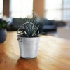 Juvale 10 Pack Small Metal Buckets for Party Favors, Tiny Galvanized Silver Pails for Crafts, Succulents, 3.3 x 2.5 x 3 In - 4 of 4