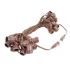 Novelty Lights Edison Outdoor String Lights with 25 In-Line Sockets Brown Wire 37.5 Feet - 3 of 4