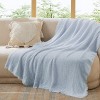Bedsure Throw Blanket for Couch - Decorative Woven Throw Gifts with Tassels, Soft and Lightweight Farmhouse Blankets for Couch and Sofa - 2 of 4