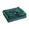 50"x60" Buddy The Dog Reversible Throw Blanket Green - Eddie Bauer: Seasonal Plush Fleece, Machine Washable, Cozy for Travel & Pets - 2 of 4