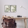 Stupell Industries Classic Sparrow on Blossoms, 11" x 14" - 2 of 4