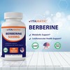 Berberine 500mg - 60 Vegetable Capsules - 3 of 4