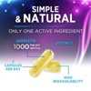 Quercetin Ultra Strength 1000mg - Natural Immune Support Plant Based Supplement - 120 Capsules By Nature's Peak - 4 of 4