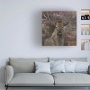 Trademark Fine Art -Albena Hristova 'The Leader Deer' Canvas Art - 2 of 4
