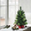2ft Puleo Pre-Lit Tabletop Artificial Christmas Tree Red Sac Clear Lights: Battery Operated, Flame-Retardant - 2 of 3