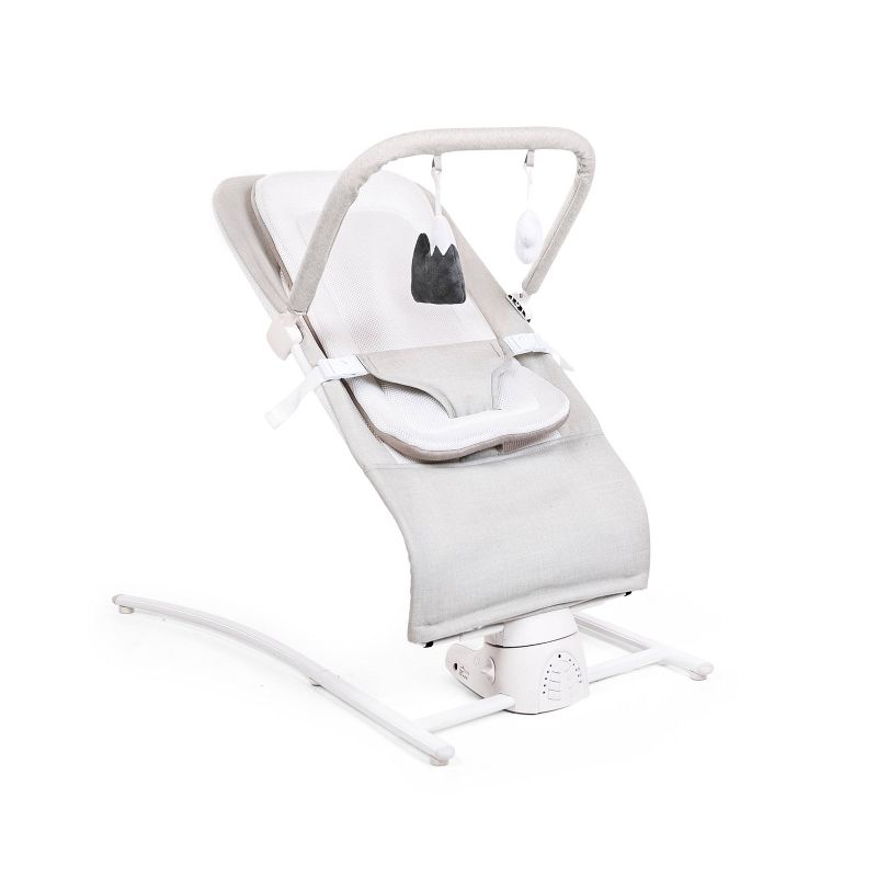 Baby Delight Alpine Wave Deluxe Bouncer with Motion - Driftwood Gray, 1 of 18