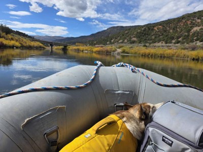 Guest review image 1 of 2, zoom in