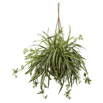 Spider Plant Hanging Basket - Nearly Natural