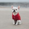 Doggie Design Solid Dog Polo Shirt - Flame Scarlet Red - 3 of 3