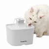 Premier Pet Automatic Water Fountain for Cats and Small Dogs - 60oz - 2 of 4