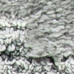 grey/ivory