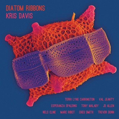 Kris Davis - Diatom Ribbons (CD)