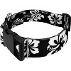Country Brook Petz HossFit Jr Wide Deluxe Dog Collar - Summer Breeze Collection - 2 of 4