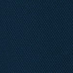 navy/charcoal