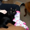 Pavilion Gift Company - Crazy Cat Lady - Adult Crew Socks Size: M/L - Socks - 2 of 4