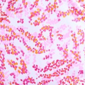 fluorescent pink animal