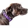 Angel Sar Reversible Dog Harness with Built-in Neck Tie, Breathable Adjustable Pet Vest with Dual Leash Rings for Small Medium Large Dogs - 3 of 4