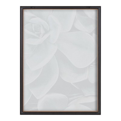 Gray Framed Botanical Succulent Plant Wall Art Set