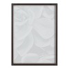 18" x 24" Blake Botanical Succulent Plants 2 Framed Printed Glass by the Creative Bunch Studio Gray - Kate & Laurel All Things Decor - 3 of 4