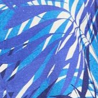 blue tropical