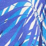 blue tropical