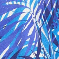 blue tropical