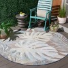 Sarasota SAR112 Power Loomed Area Rug  - Safavieh - 2 of 4