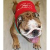 Parisian Pet 'Naughty or Nice' Dog Christmas T-Shirt - Festive Pet Holiday Shirt for Dogs & Cats, Red - 4 of 4