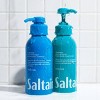 Saltair Volume Boost Thickening Shampoo - 14 fl oz - 2 of 4