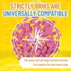 Strictly Briks Classic Bricks Starter Kit, Pink, 96 Pieces, 2x4 Studs, 100% Compatible with All Major Brick Brands - 4 of 4