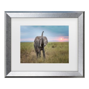 Trademark Fine Art - Jeffrey C. Sink King of the domain Matted Framed Art - 1 of 4