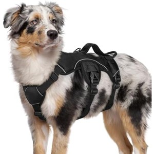 rabbitgoo Escape Proof Dog Harness, Soft Padded Full Body Pet Harness, Reflective Adjustable No Pull  Walking Hiking Training, M, Black - 1 of 1