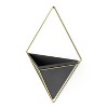Trigg Wall Display Planter - Umbra - 2 of 4