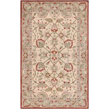 Antiquity AT65 Hand Tufted Area Rug  - Safavieh