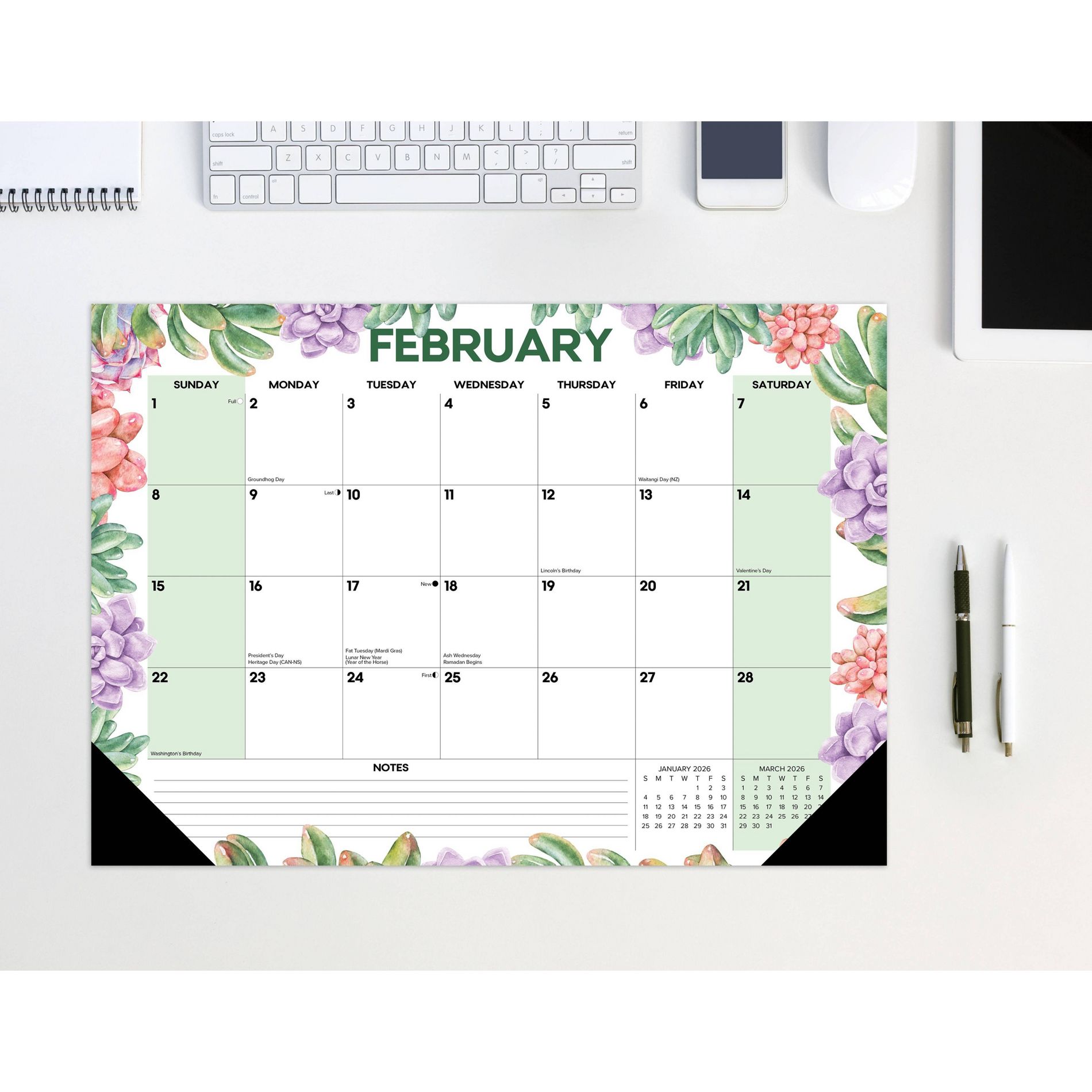 Willow Creek Press 17"x12" 2026 Succulents Small Monthly Deskpad