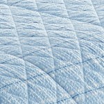 carlton plaid blue