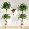 Whizmax 4/5/6ft Ficus Artificial Trees, Lifelike Faux Tree, Green Lush Fake Ficus Tree Artificial Plants for Living Room Indoor Outdoor Modern Decor - 4 of 4