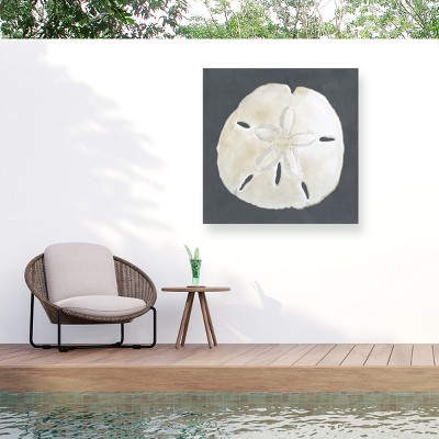 "Shell On Slate Ii" Outdoor Canvas
