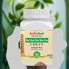 Active Herb Bai Hua She She Cao Concentrated Granules 100g - 4 of 4