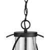 Progress Lighting, Terrace, 1-Light Outdoor Hanging Light, Matte Black, Seeded Glass Shade - 4 of 4