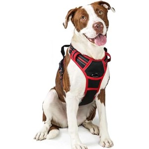 rabbitgoo Dog Harness No Pull with 2 Leash Clips, Control Handle for Large Dogs, Black & Red, L - 1 of 1