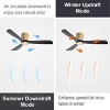 Black Direct Current Fan,Indoor Ceiling Fan With Remote Reversible DC Motor And 3 Solid Wood Blades -The Pop Home - 3 of 4