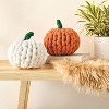 2ct Halloween Craft Finger Knit Pumpkins Kit - Mondo Llama™ - 2 of 4